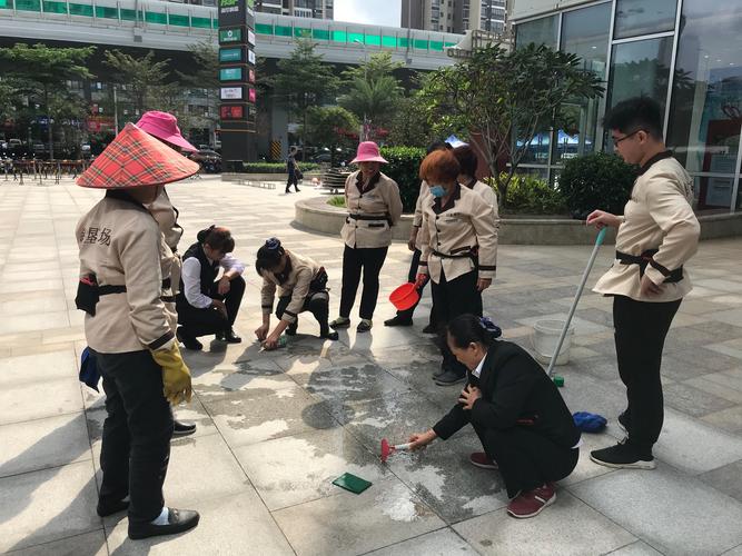 保潔員實(shí)地操作培訓(xùn)指南 從新手到專業(yè)能手的系統(tǒng)化訓(xùn)練